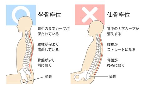 座位 背面|めちゃくちゃ気持ちいい「背面座位」！正しいやり方。